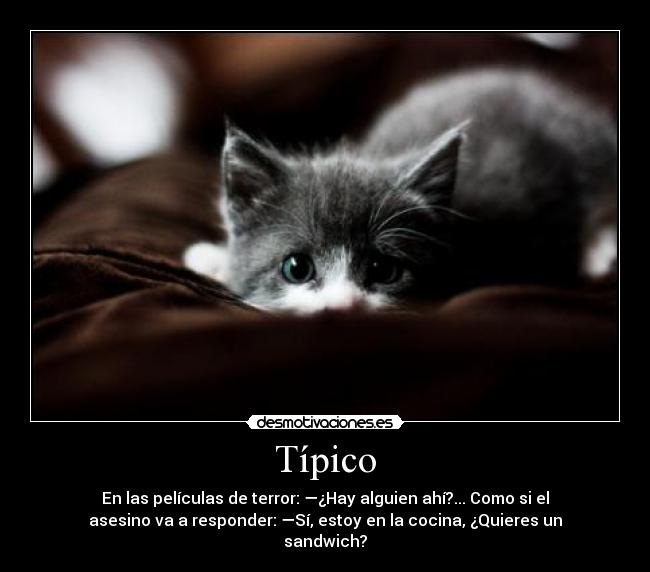 Típico - En las películas de terror: —¿Hay alguien ahí?... Como si el
asesino va a responder: —Sí, estoy en la cocina, ¿Quieres un
sandwich?