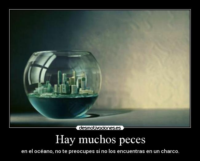 Hay muchos peces - 