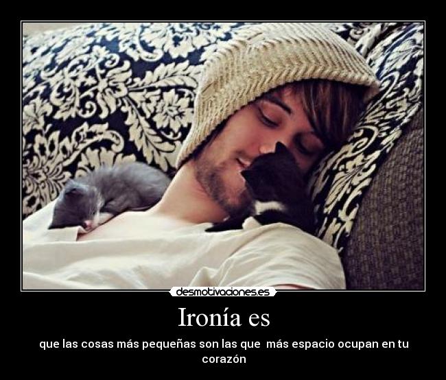 Ironía es - que las cosas más pequeñas son las que  más espacio ocupan en tu corazón