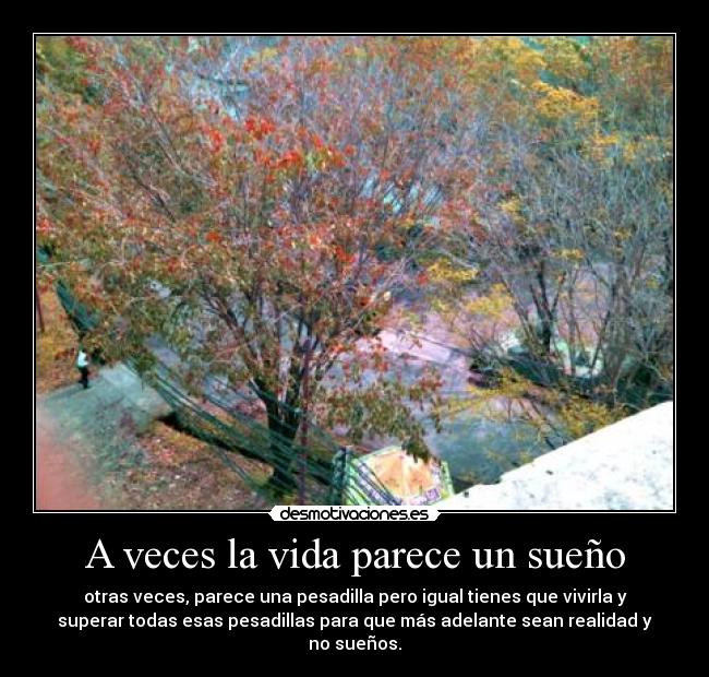 A veces la vida parece un sueño -