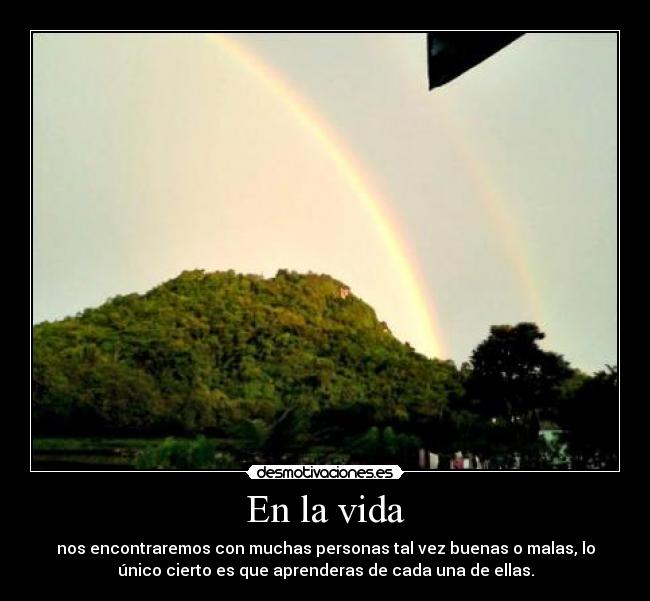 carteles vida vida desmotivaciones