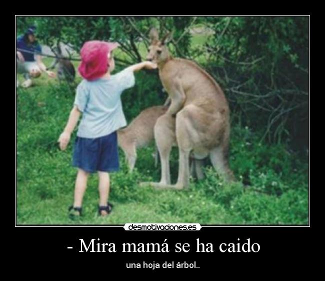 - Mira mamá se ha caido - una hoja del árbol..