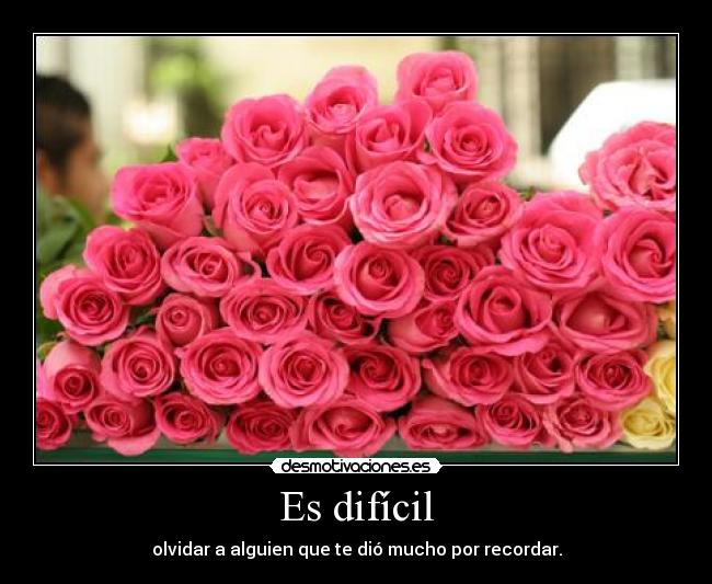Es difícil - olvidar a alguien que te dió mucho por recordar.