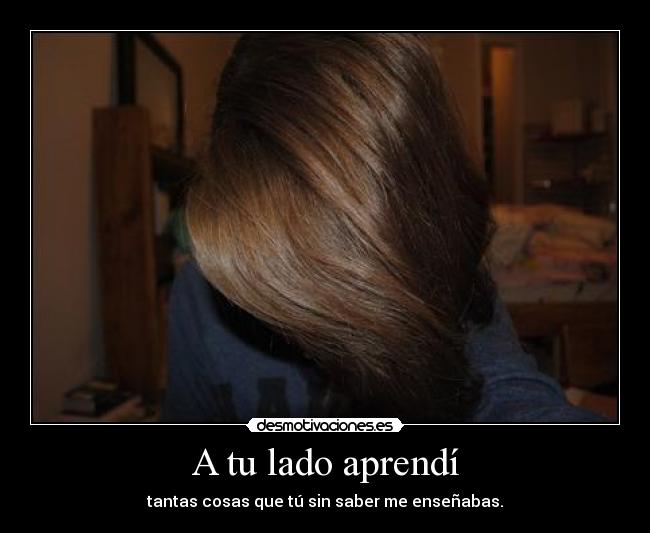 A tu lado aprendí -