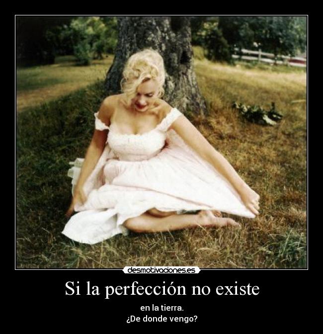 Si la perfección no existe -