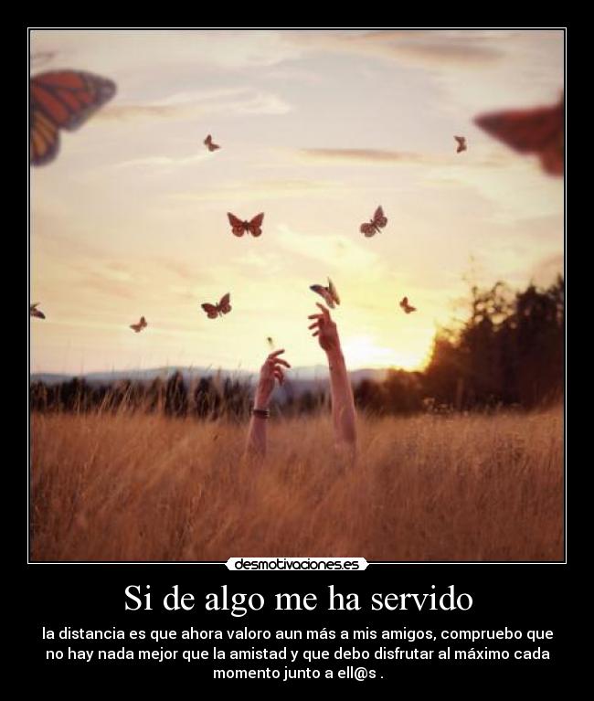 Si de algo me ha servido - la distancia es que ahora valoro aun más a mis amigos, compruebo que
no hay nada mejor que la amistad y que debo disfrutar al máximo cada
momento junto a ell@s .