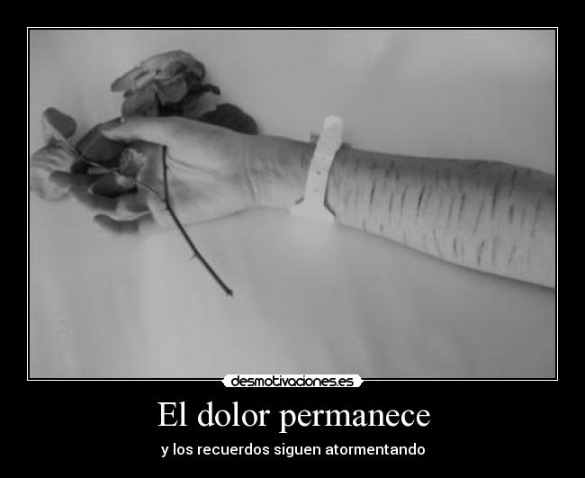 El dolor permanece - 