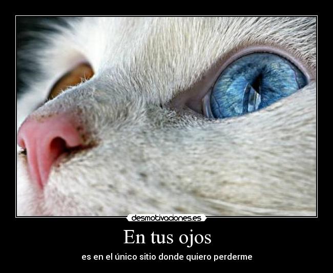 En tus ojos - es en el único sitio donde quiero perderme