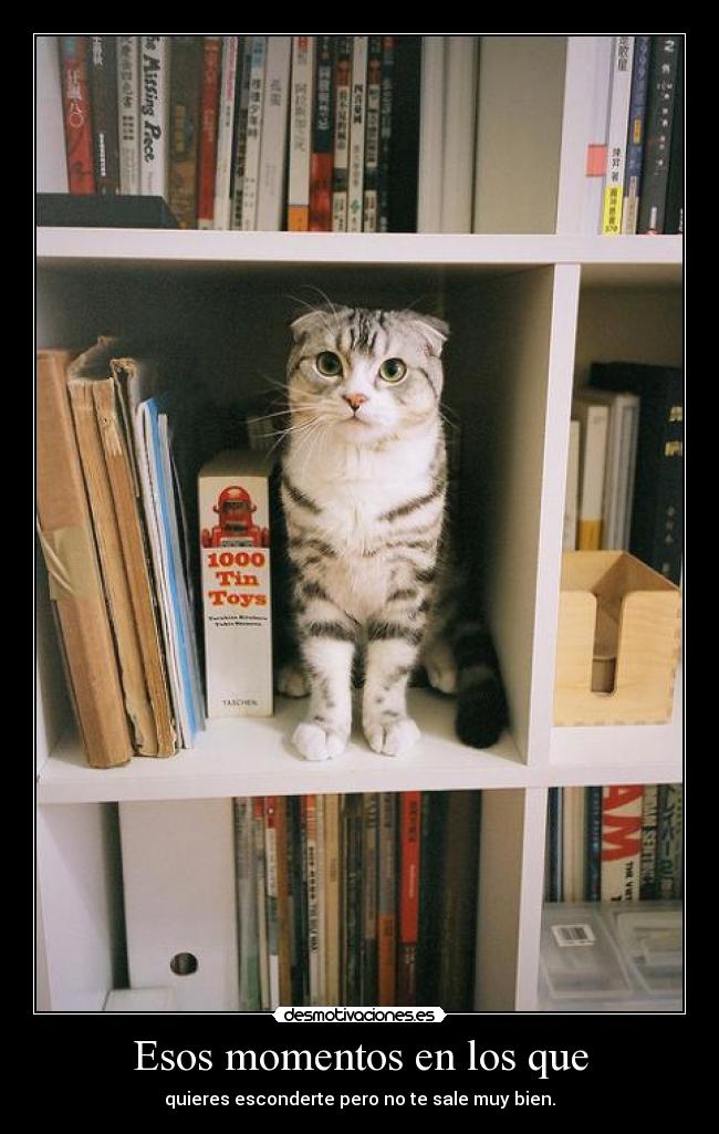 Esos momentos en los que - quieres esconderte pero no te sale muy bien.