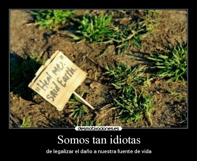 Somos tan idiotas - 