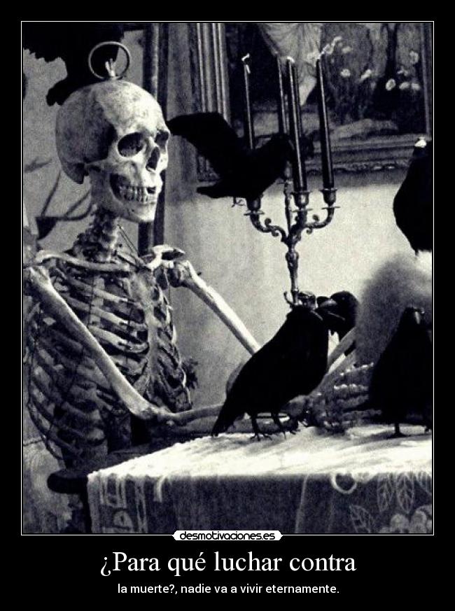 carteles luggage una rima soy una poeta hehehe algo hay que morir gustan los eskelethoz desmotivaciones