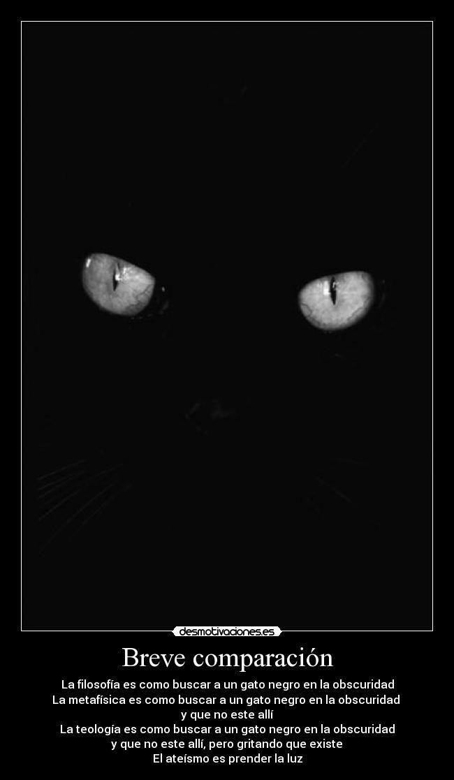 Breve comparación - La filosofía es como buscar a un gato negro en la obscuridad
La metafísica es como buscar a un gato negro en la obscuridad
y que no este allí
La teología es como buscar a un gato negro en la obscuridad
y que no este allí, pero gritando que existe
El ateísmo es prender la luz