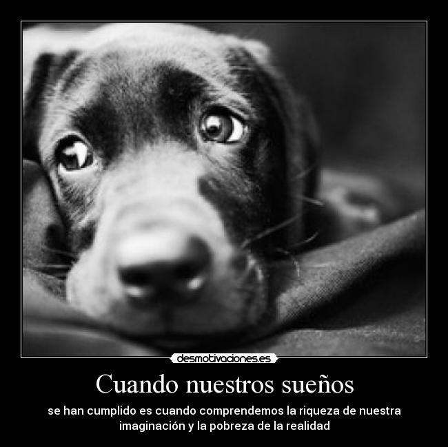 Cuando nuestros sueños - 