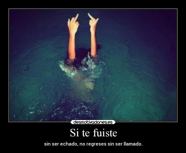 carteles fuiste desmotivaciones