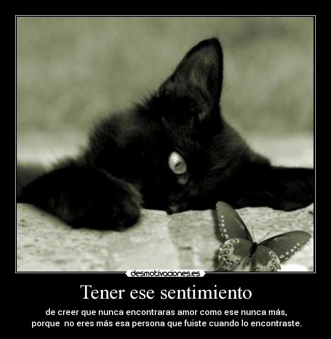 Tener ese sentimiento - de creer que nunca encontraras amor como ese nunca más,
porque no eres más esa persona que fuiste cuando lo encontraste.