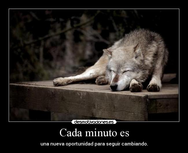 Cada minuto es -