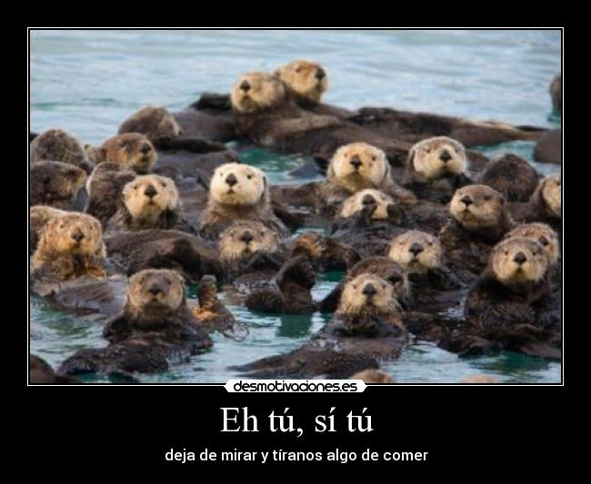 Eh tú, sí tú - deja de mirar y tíranos algo de comer