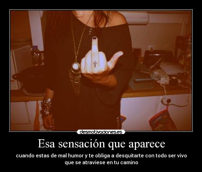 Esa sensación que aparece - cuando estas de mal humor y te obliga a desquitarte con todo ser vivo
que se atraviese en tu camino