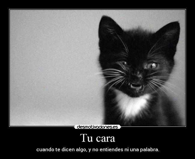 Tu cara - cuando te dicen algo, y no entiendes ni una palabra.