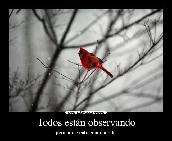 Todos están observando -