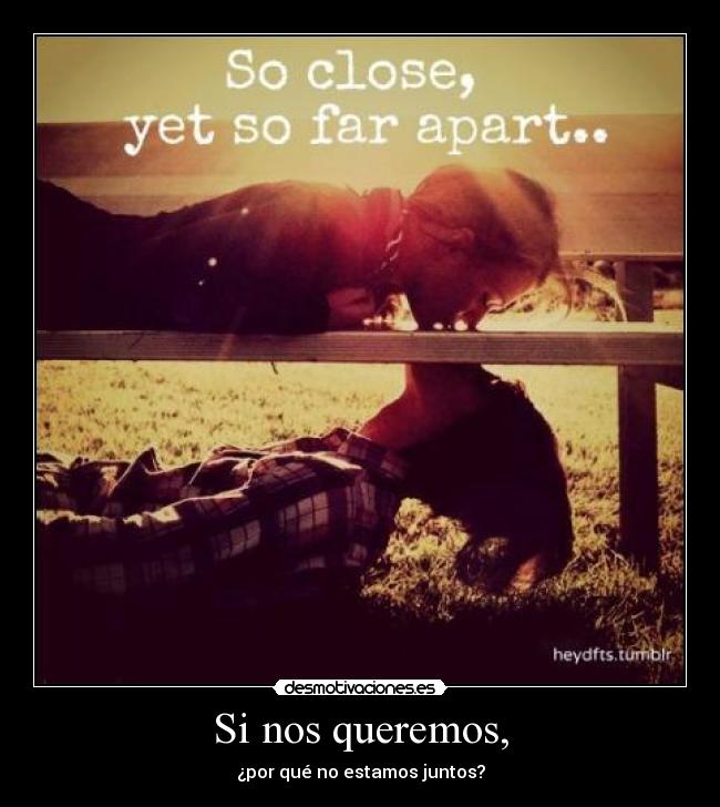 Si nos queremos, - ¿por qué no estamos juntos?