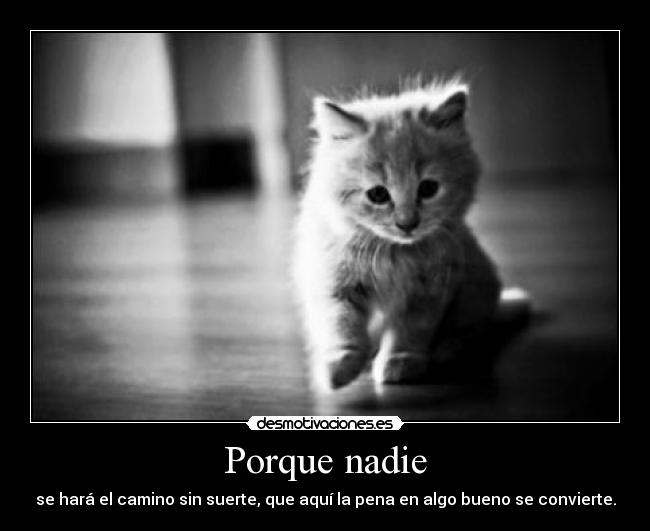 Porque nadie -