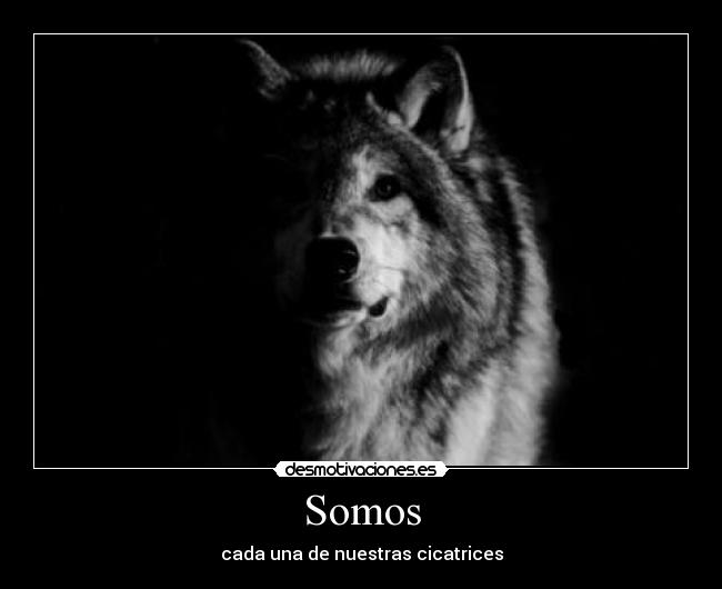 Somos - cada una de nuestras cicatrices