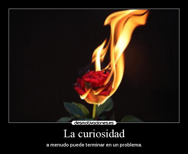La curiosidad - a menudo puede terminar en un problema.