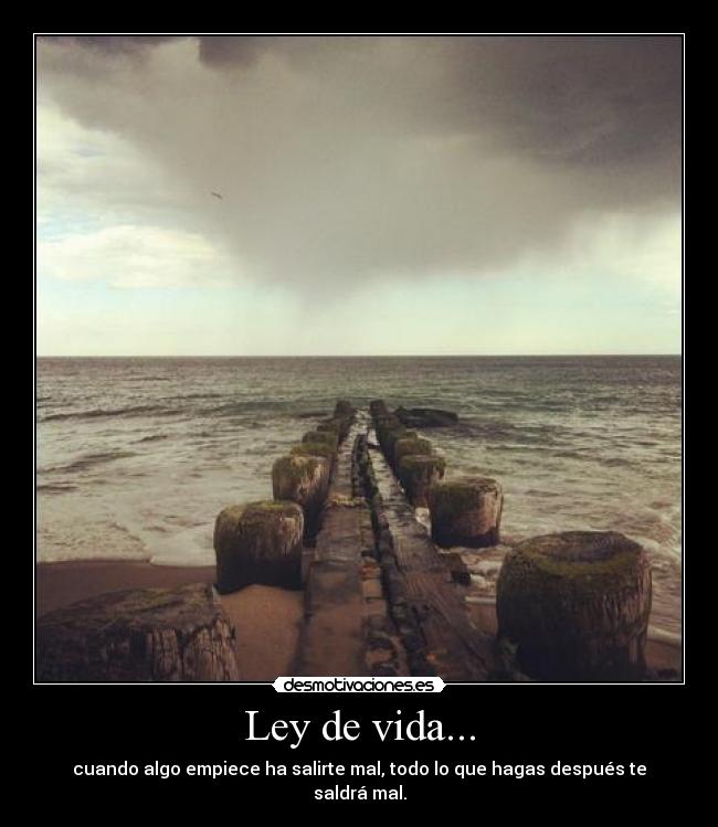 Ley de vida... - 