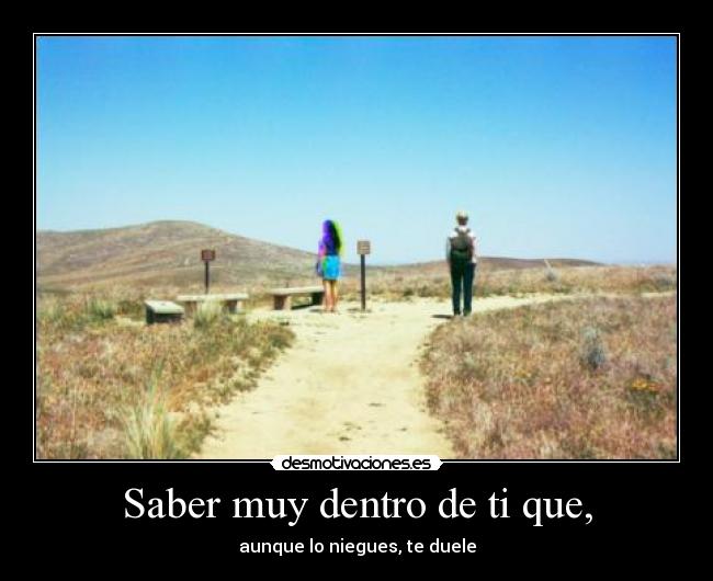 carteles dolor desmotivaciones