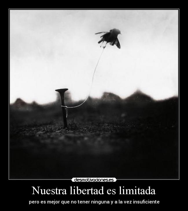 Nuestra libertad es limitada -