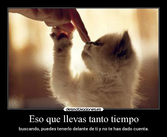 Eso que llevas tanto tiempo - 