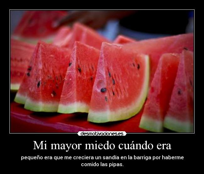 carteles miedo noooooooooooo quiero watermelones panchita intruders desmotivaciones