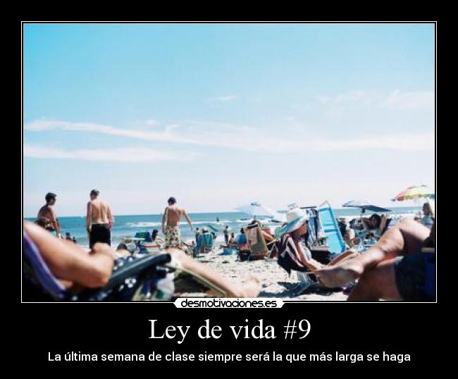 Ley de vida #9 - 