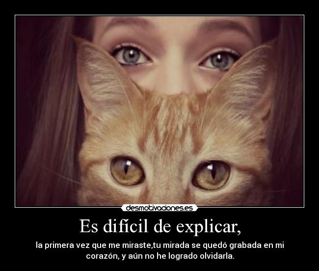 Es difícil de explicar, - la primera vez que me miraste,tu mirada se quedó grabada en mi
corazón, y aún no he logrado olvidarla.