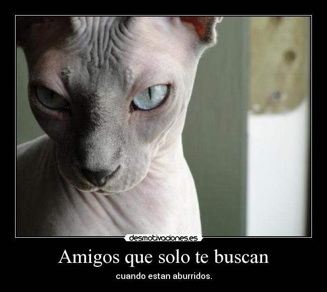 Amigos que solo te buscan -