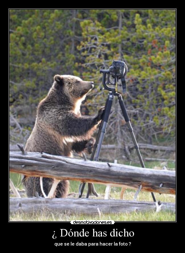 ¿ Dónde has dicho - 