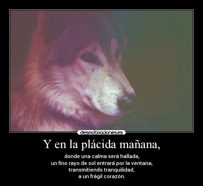 Y en la plácida mañana, - 