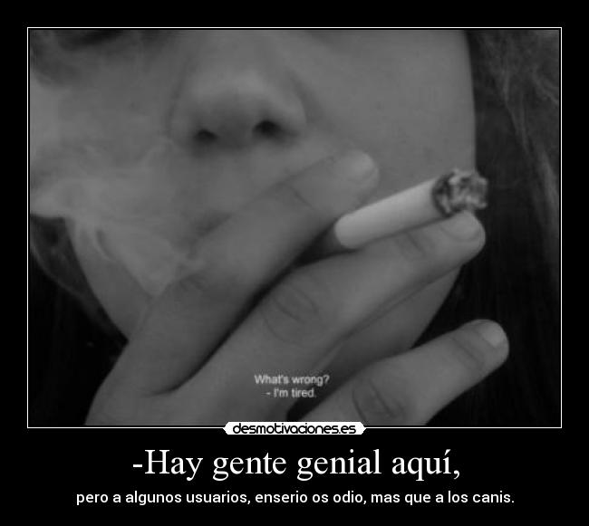 -Hay gente genial aquí, - pero a algunos usuarios, enserio os odio, mas que a los canis.