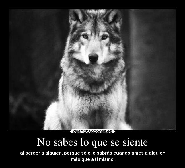 carteles carlososuna96 desmotivaciones