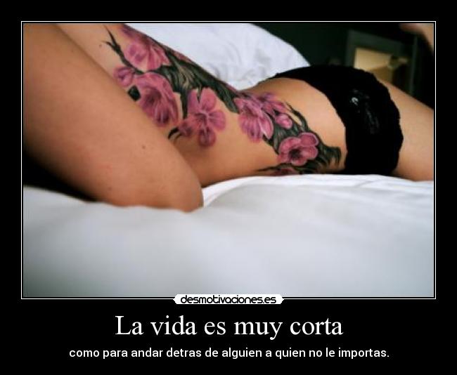 carteles vida arb desmotivaciones