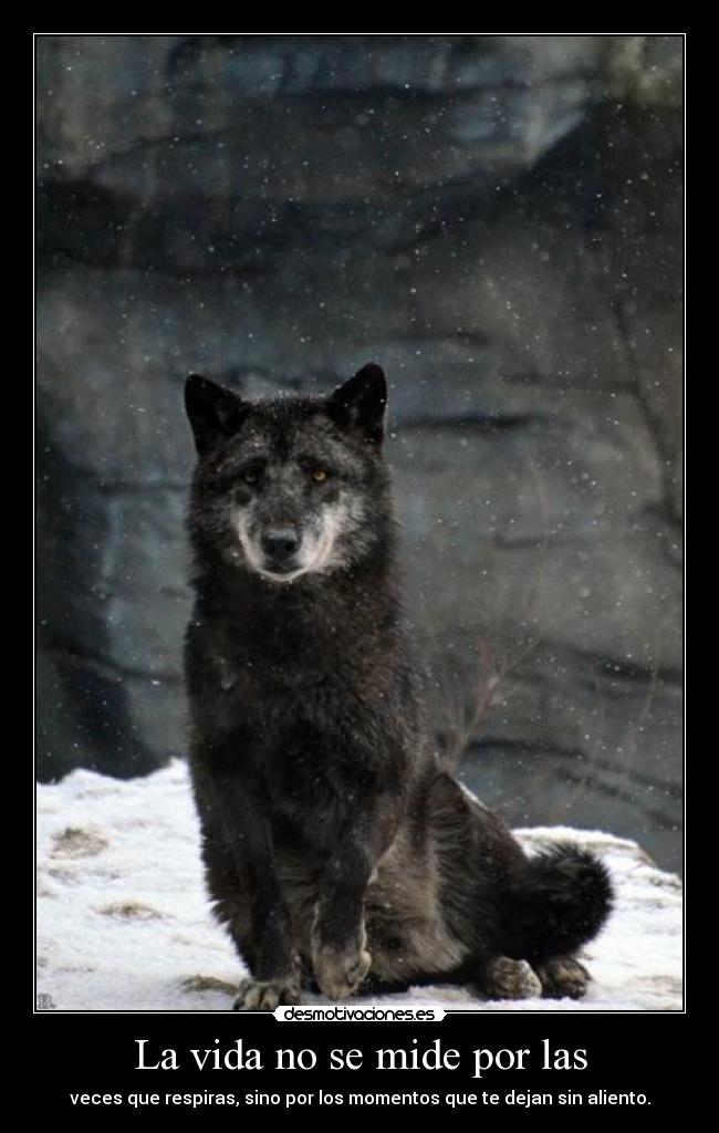 La vida no se mide por las - 