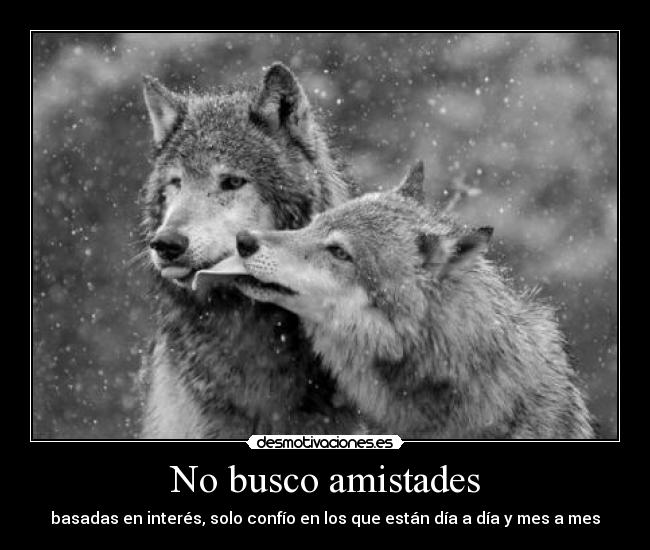 No busco amistades -