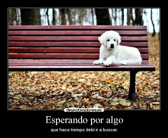 Esperando por algo - 