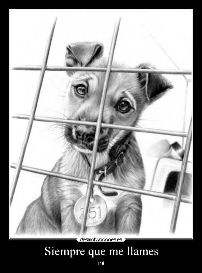 Siempre que me llames - iré