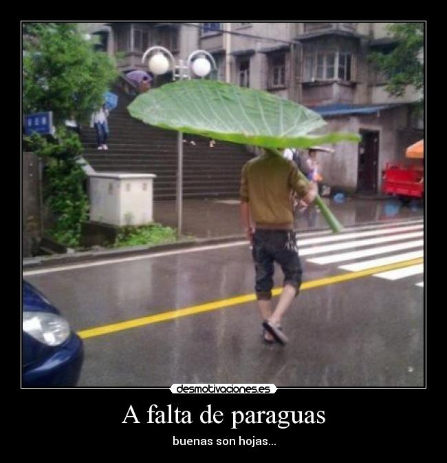 A falta de paraguas -