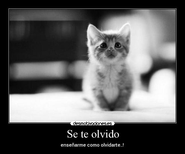 carteles decepciones desmotivaciones