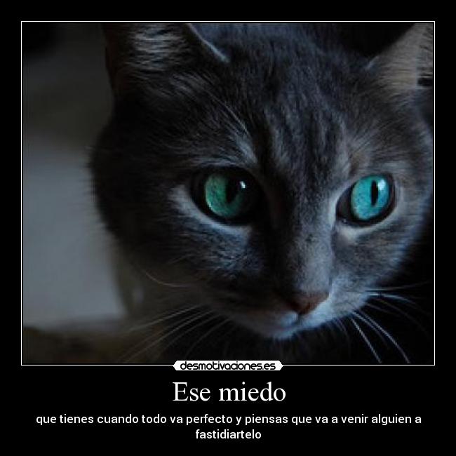 Ese miedo - 