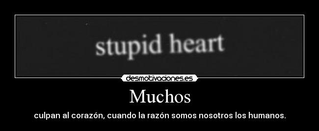 Muchos - culpan al corazón, cuando la razón somos nosotros los humanos.