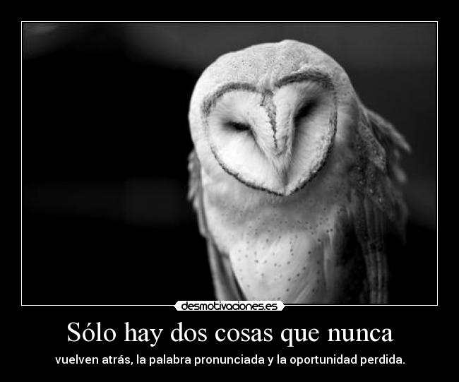 Sólo hay dos cosas que nunca - vuelven atrás, la palabra pronunciada y la oportunidad perdida.